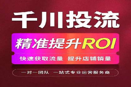 百度搜索引擎优化推广：成功案例揭秘